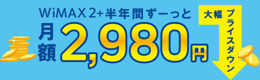 WiMAX月額2,980円